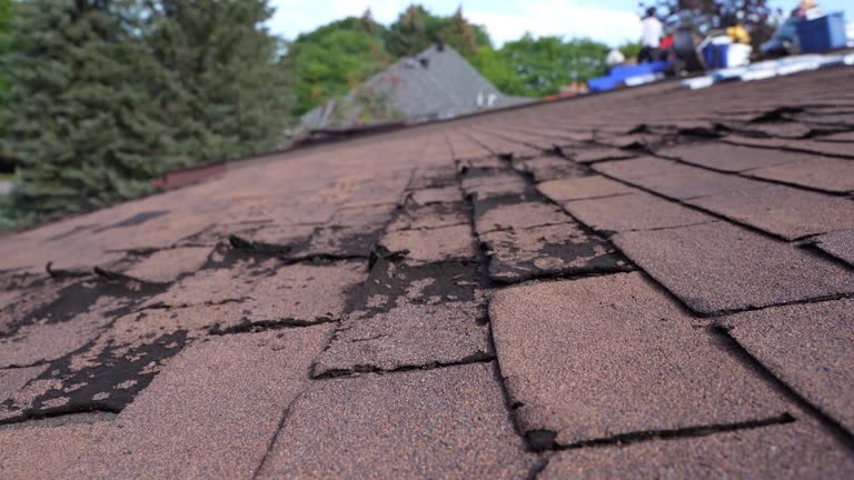Best Wood Shake Roofing  in Elkader, IA