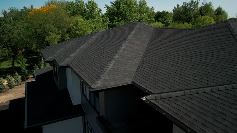 Best Skylight Installation and Repair  in Elkader, IA