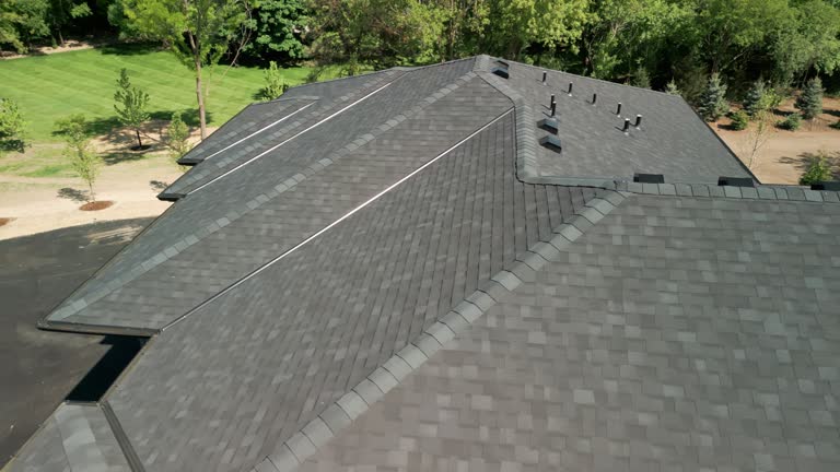 Best Chimney Flashing Repair  in Elkader, IA