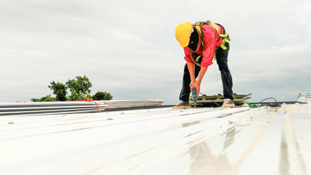 Best Solar Panel Roofing Installation  in Elkader, IA