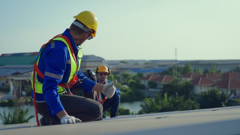Best Roof Ventilation Installation  in Elkader, IA