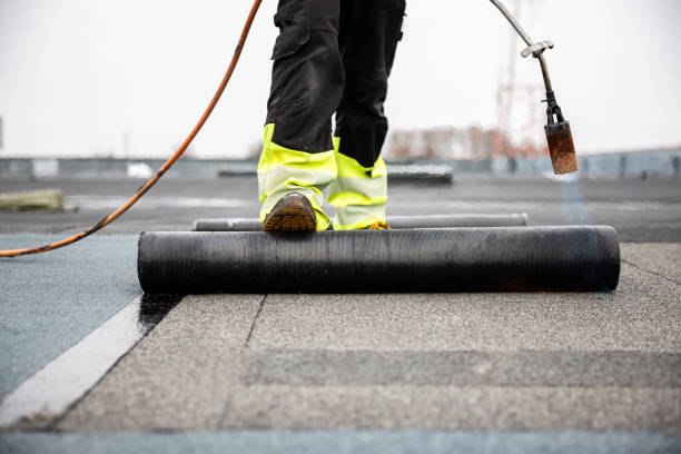 Best Storm Damage Roof Repair  in Elkader, IA