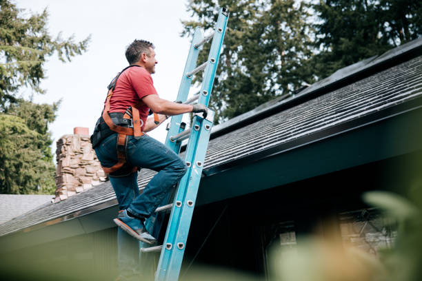 Best Asphalt Shingle Roofing  in Elkader, IA