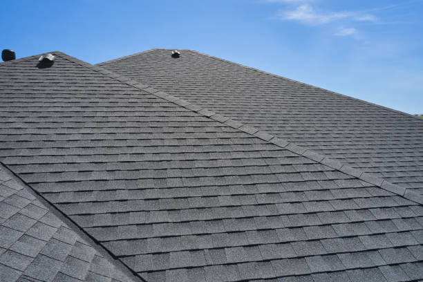 Best Roof Replacement  in Elkader, IA
