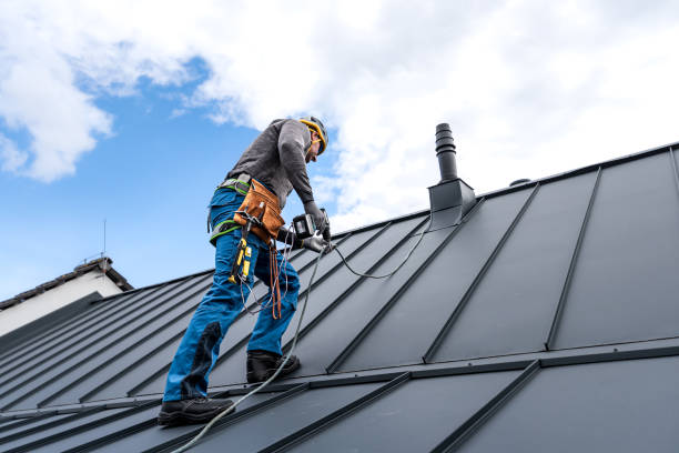 Best Roof Maintenance and Cleaning  in Elkader, IA