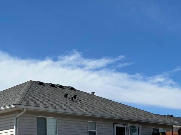 Best Flat Roofing  in Elkader, IA
